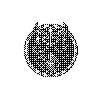 Dwarven Strongholds